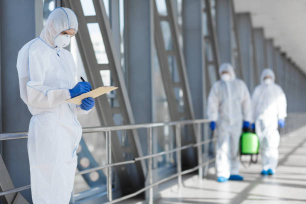 Best Mold Remediation for Healthcare Facilities  in Mentone, CA
