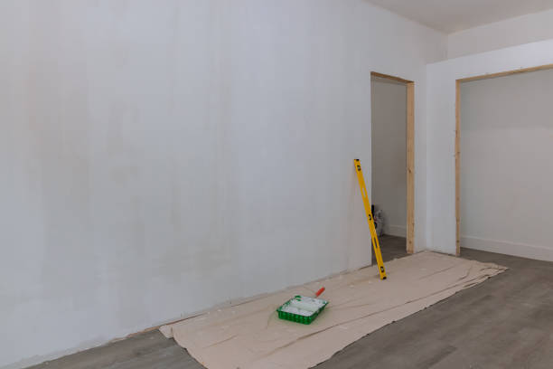 Best Basement Mold Removal  in Mentone, CA